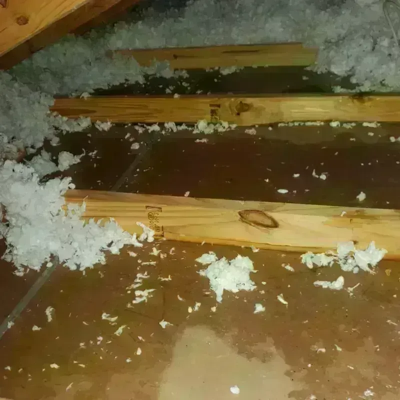 Attic Water Damage in Antelope Valley-Crestview, WY