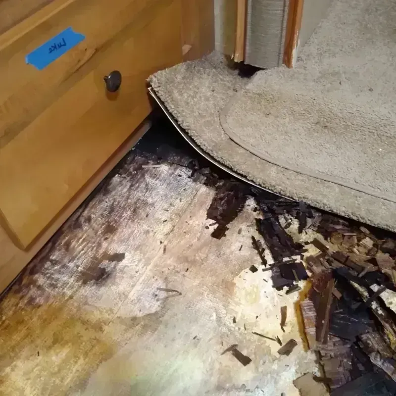 Wood Floor Water Damage in Antelope Valley-Crestview, WY